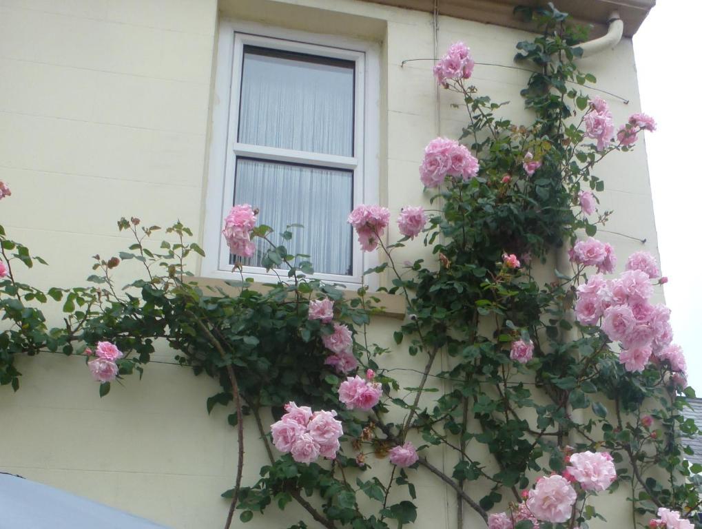 Bayview Guest House 圣赫利尔泽西 外观 照片